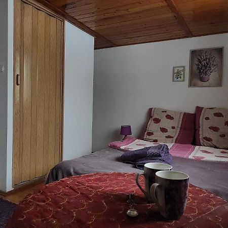 Home Stay Slotwinska Krynica-Zdrój Exterior foto