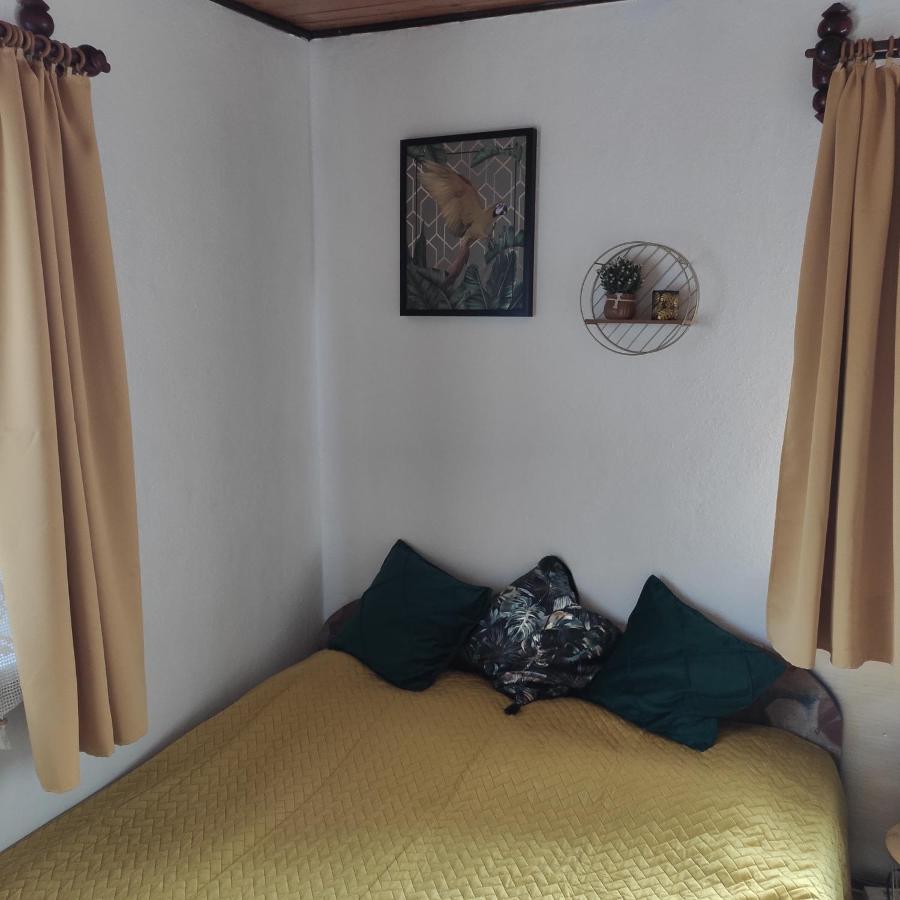 Home Stay Slotwinska Krynica-Zdrój Exterior foto